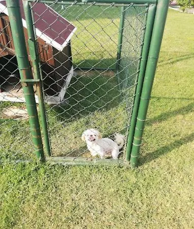 Дом отдыха Serbesler Botanik, No 2 Mini House *