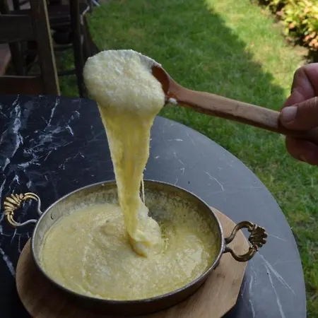 Serbesler Botanik, No 2 Mini House Дом отдыха Сакарья