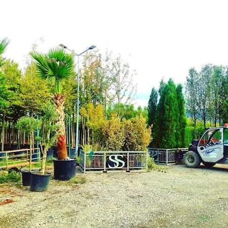 Дом отдыха Serbesler Botanik, No 2 Mini House