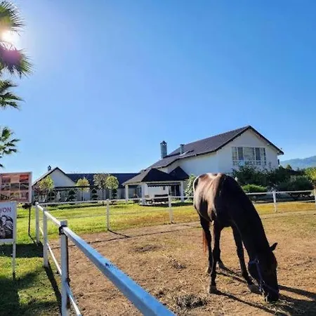 Дом отдыха Serbesler Botanik, No 2 Mini House Сакарья