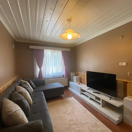 Serbesler Botanik, No 2 Mini House Holiday home