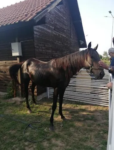 Serbesler Botanik, No 2 Mini House بيت للعطل *