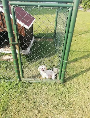 بيت للعطل Serbesler Botanik, No 2 Mini House *