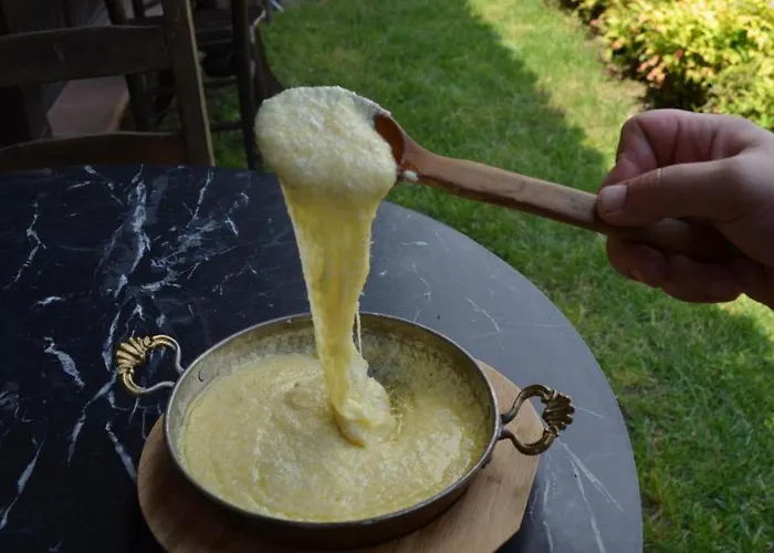 Serbesler Botanik, No 2 Mini House بيت للعطل ساكاريا