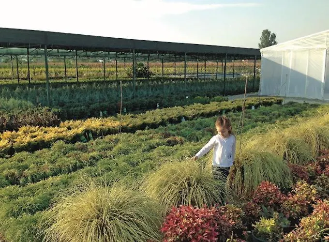 Serbesler Botanik, No 2 Mini House ساكاريا